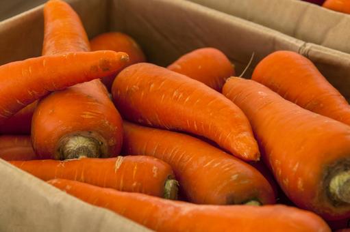 人参1(田原市) 人参1(田原市) ニンジン,人参,根菜の写真素材