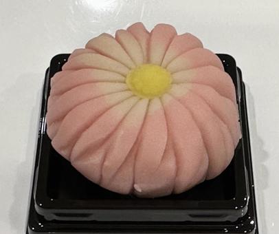 練り切り「菊」 練り切り「菊」の写真