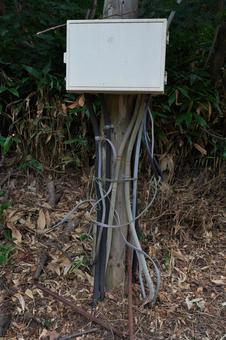 森の配電盤 森の配電盤 配電盤,電気,電力の写真素材