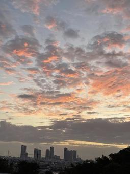 武蔵小杉タワーマンション日の出 武蔵小杉タワーマンション日の出 武蔵小杉,タワーマンション,タワマンの写真素材