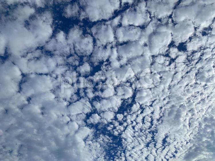 青空に浮かぶ　初夏の雲 空,雲,青空の写真素材