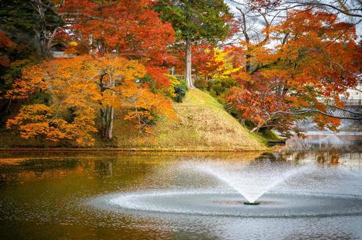 紅葉の棚倉城跡 棚倉城跡,紅葉,棚倉町の写真素材
