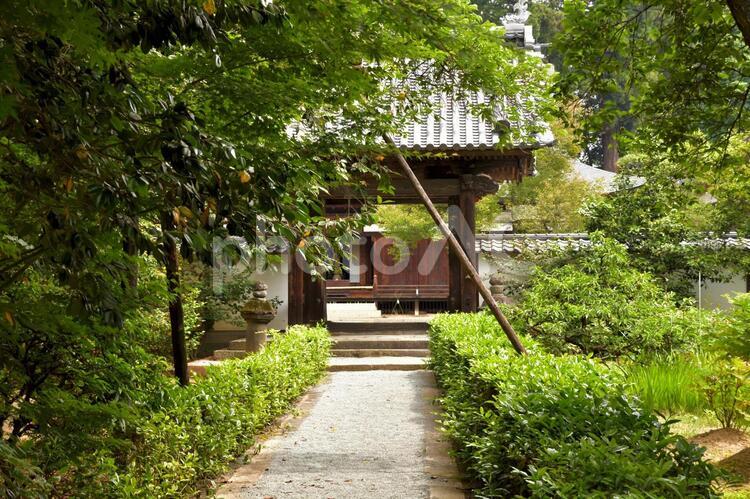 山梨県甲州市　放光寺 放光寺,山梨,甲州市の写真素材