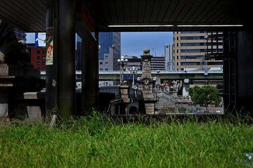 都会の林立するビルの前に風に流れる緑の草 都会,ビル,緑の写真素材