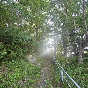 Climbing a paved mountain path bathed in sunlight, JPG