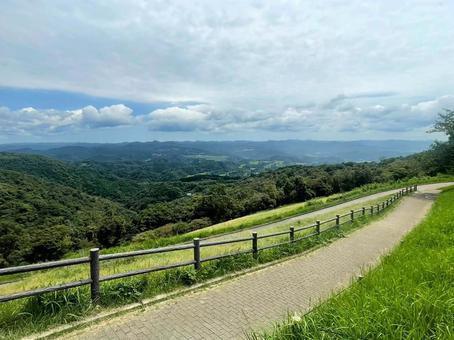 マザー牧場 マザー牧場 絶景,景色,鮮やかの写真素材