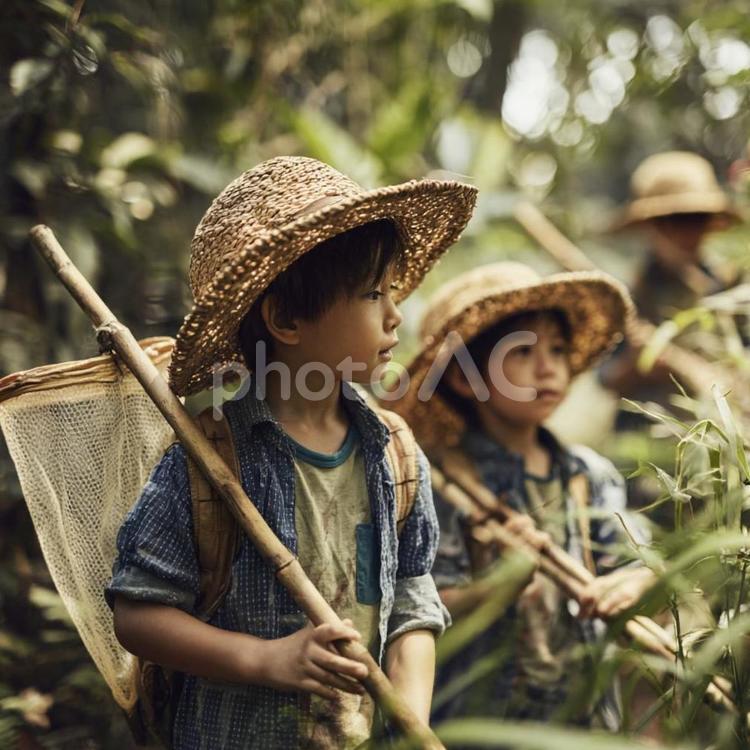 夏の森で虫取りを楽しむ子供たち 子供,冒険,自然の写真素材