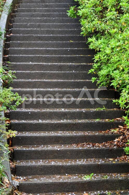 公園の階段 コンクリート,上り,屋外の写真素材