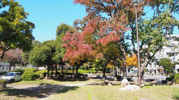 東京の紅葉・新田の森公園・江戸川区西葛西 秋,新田の森公園,紅葉の写真素材