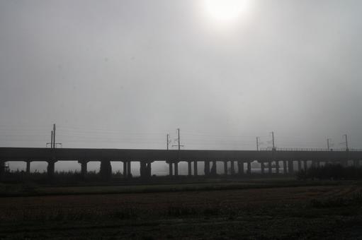 霧深い朝　その２ 風景,草,土の写真素材