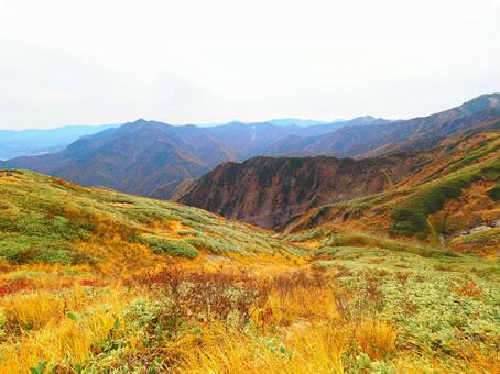 紅葉(越後三山・越後駒ヶ岳) 紅葉(越後三山・越後駒ヶ岳)の写真