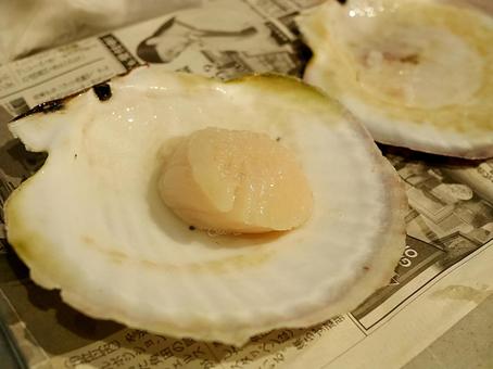 日本の青森県の野牛産のホタテの貝柱と殻 日本の青森県の野牛産のホタテの貝柱と殻 活ほたて,ホタテ,ホタテ貝柱の写真素材