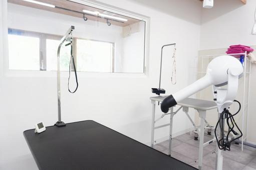 トリミングサロン・ペットサロン トリミング,トリミングサロン,トリマーの写真素材