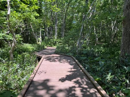 北海道函館市道南四季の杜公園 北海道函館市道南四季の杜公園 四季の杜公園,函館,函館市の写真素材