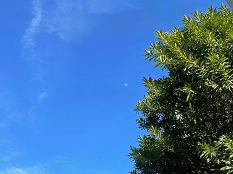 空 空の写真