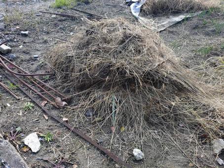 積まれた草刈り後の藁 草刈り,雑草,藁の写真素材