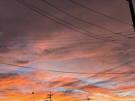 電線越しの夕焼けの空 夕焼け,空,電線の写真素材