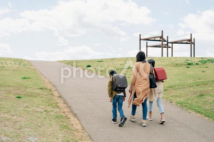 道を歩く親子（後ろ姿） 親子,子供,送り迎えの写真素材