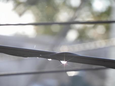 電線を伝う雨粒 雨粒,雨,電線の写真素材