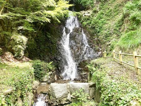 Choon Falls②, JPG