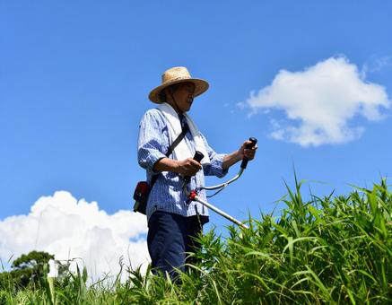 真夏の炎天下、草刈りする人 真夏の炎天下、草刈りする人の写真