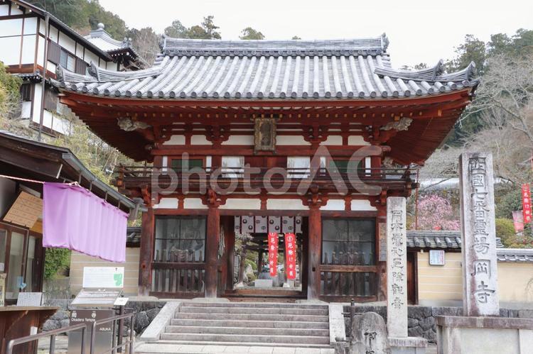 岡寺（龍蓋寺）　仁王門 岡寺,龍蓋寺,仁王門の写真素材