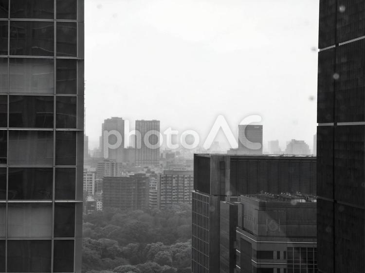 皇居の森とビル群　白黒 丸の内,高層ビル,皇居の写真素材