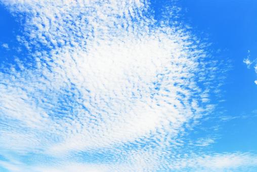 爽やかな青空とうろこ雲 爽やかな青空とうろこ雲の写真