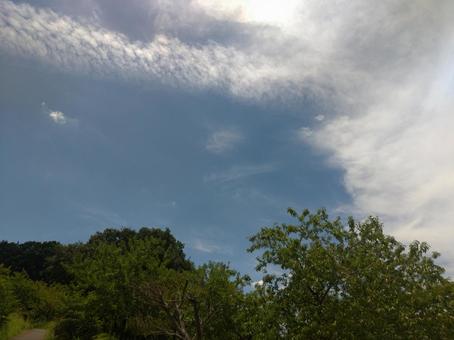 青空と雲 青空と雲の写真