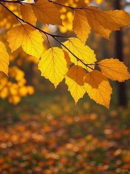 黄金の紅葉 黄金の紅葉の写真