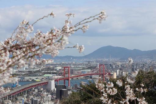 高塔山公園 高塔山公園 の写真