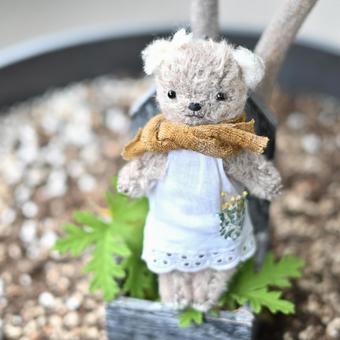 女の子クマちゃん テディベア,くま,子供の写真素材