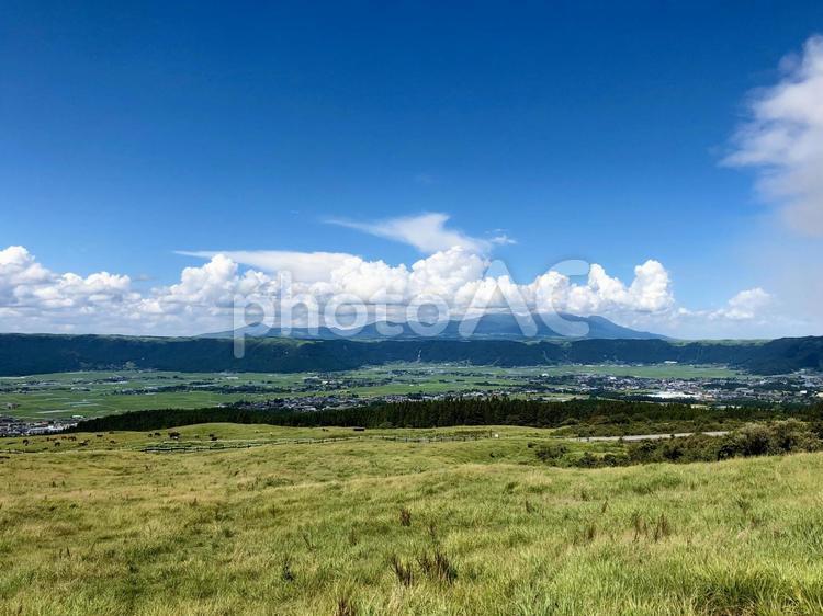 夏の阿蘇の風景 阿蘇,草原,青い空白い雲の写真素材