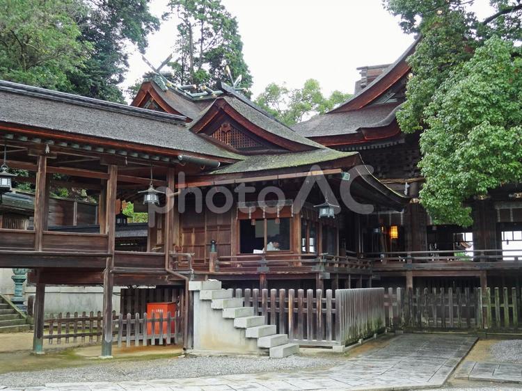 四国　金刀比羅宮　御本宮　直所 日本,四国,金刀比羅宮の写真素材