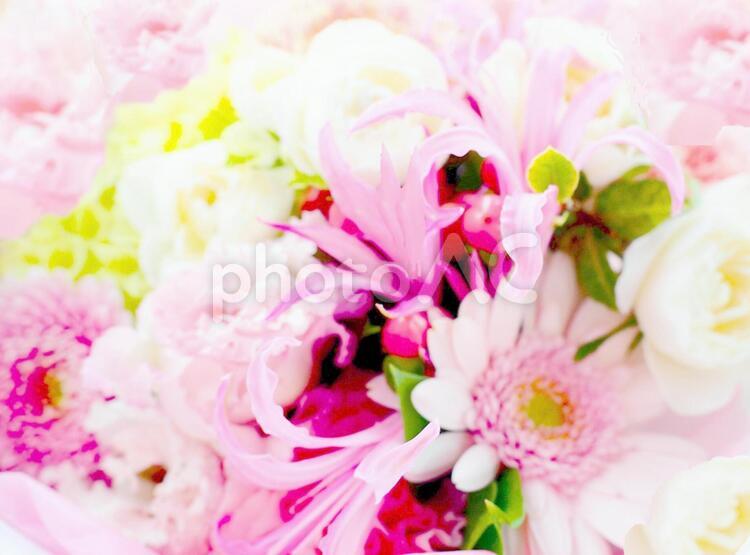 花　花束　ブーケ　ピンク 花束,ブーケ,ピンクの写真素材