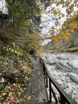 晩秋の田舎 風景,レトロ,ノスタルジーの写真素材