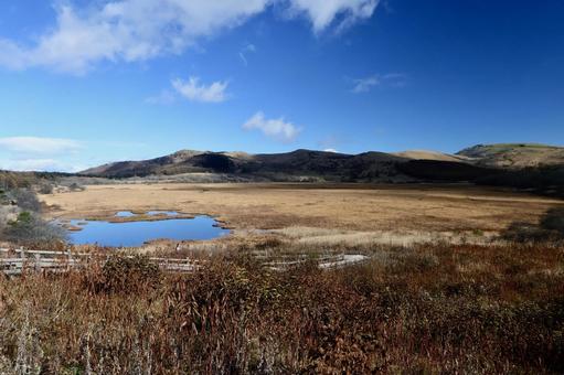 八島湿原 高原,草原,湿原の写真素材