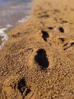 足跡 海,波,波打ち際の写真素材