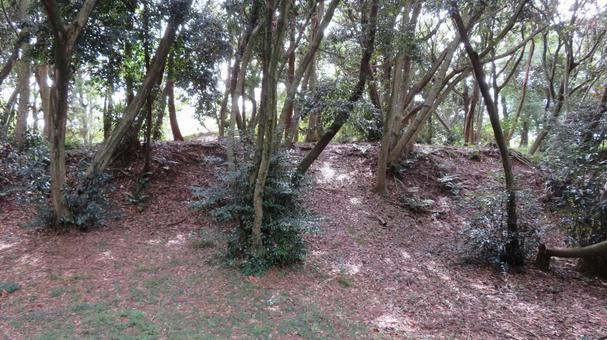 大草城 土塁跡 大草城 土塁跡の写真