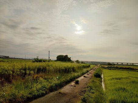夕暮れ時に田んぼのあぜ道、散歩道 夕暮れ時に田んぼのあぜ道、散歩道の写真