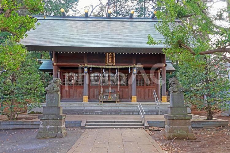 六所神社（世田谷） 六所神社,武蔵総社六所宮分霊,天照皇大神の写真素材