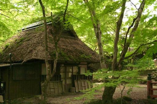 茅葺屋根の写真