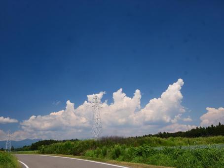 夏空とこんにゃくロード 夏空とこんにゃくロード こんにゃく畑,こんにゃく,青空の写真素材