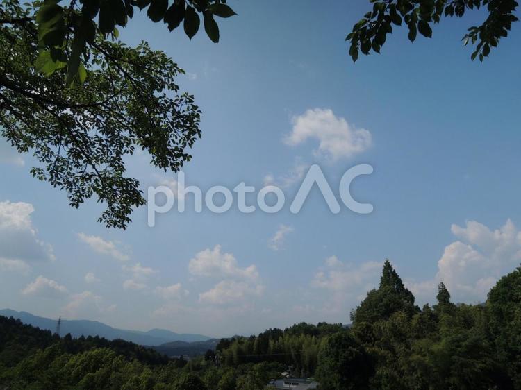 空　被さる木 空,山,青空の写真素材