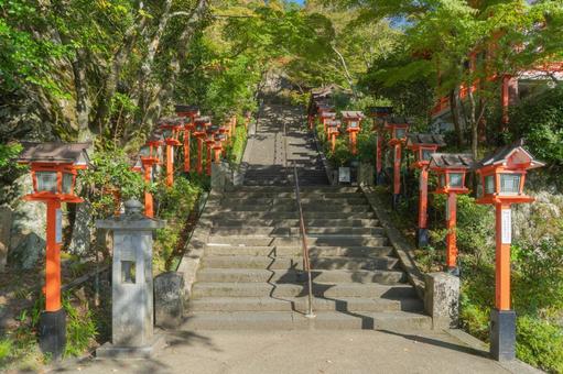 京都 鞍馬寺 本堂金堂への参道 京都 鞍馬寺 本堂金堂への参道 鞍馬寺,寺,寺院の写真素材