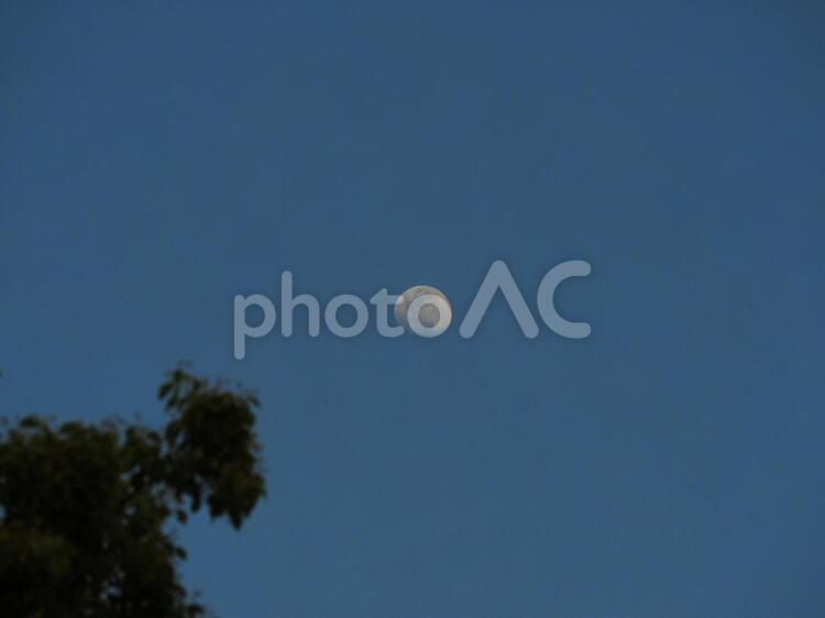 空を見上げたら シルエットで映す,バックグランド,パールの写真素材