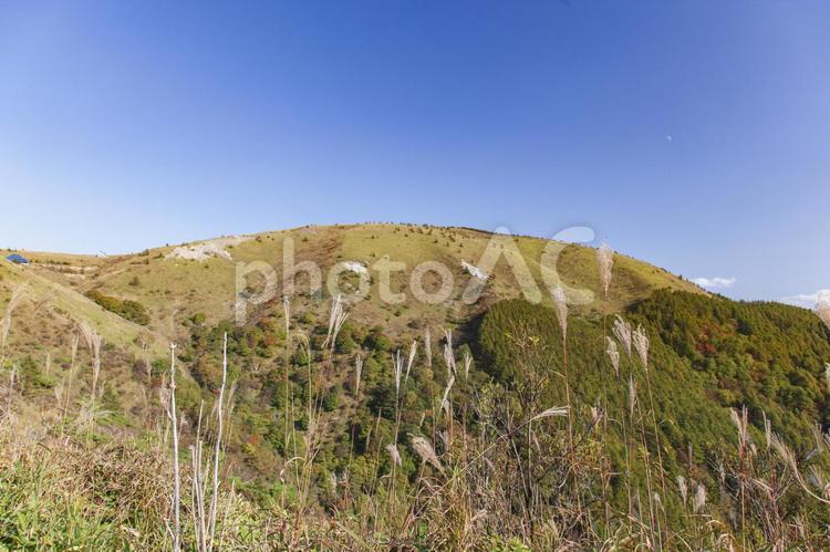 鉢伏山（長野県松本市） 鉢伏山,山,mountainの写真素材
