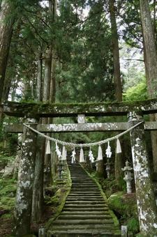 風景（石段と鳥居）の写真