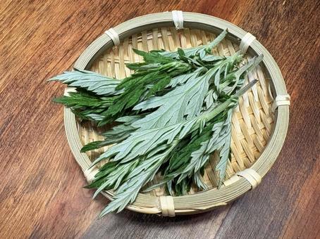 収穫したヨモギ 03 収穫したヨモギ 03 蓬,艾,蕭の写真素材
