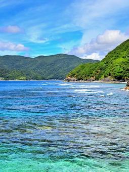 奄美 宇検村の海 奄美 宇検村の海 奄美,奄美大島,宇検村の写真素材
